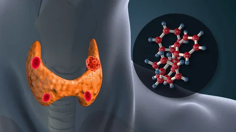 Understanding Thyroid Health and Its Impact on Daily Life